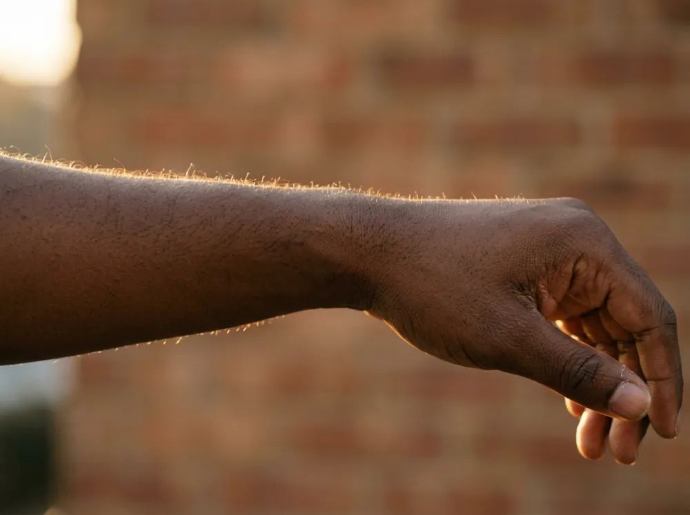 A deep brown forearm and hand held out in low warm backlight, fine hairs along the edge of the arm glowing gold against a blurred brick wall.