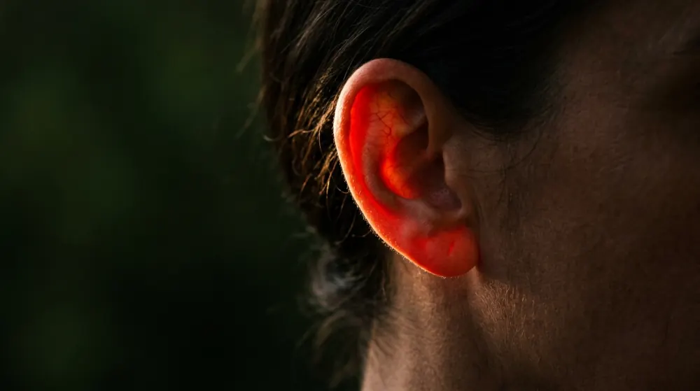 An ear in close profile against a dark green background, lit from behind so the thin tissue glows translucent red-orange with fine blood vessels visible inside it while the surrounding hair and skin stay in deep shadow.